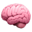 Brains